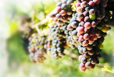 Similar image 7951910