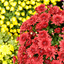 Similar image 7951941