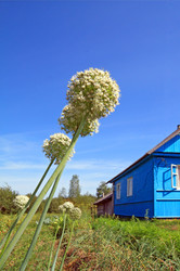 Similar image 7951971