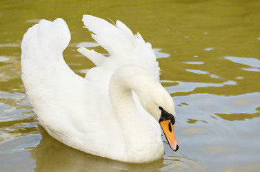 Similar image 7951976