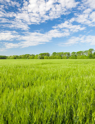 Similar image 7952008