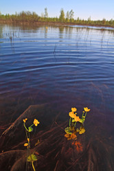 Similar image 7952072