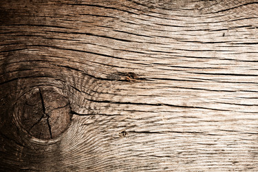 Similar image 7952088