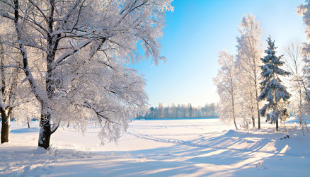 Similar image 7952115