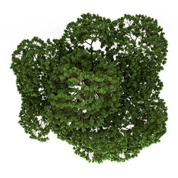 Similar image 7952128