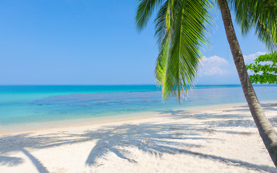 Similar image 7952245