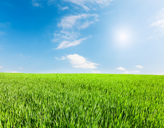 Similar image 7952261