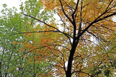 Similar image 7952287