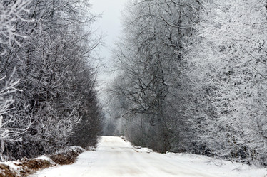 Similar image 7952296