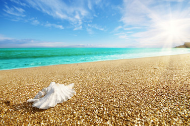 Similar image 7952388