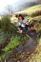 Similar image 7952441