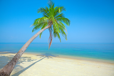 Similar image 7952571