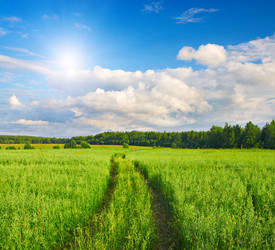 Similar image 7952609