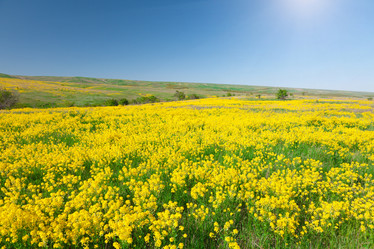 Similar image 7952626