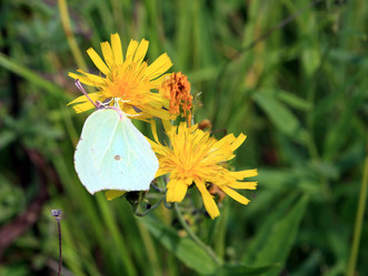 Similar image 7952653