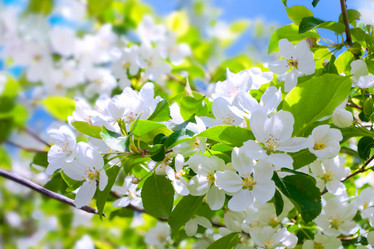 Similar image 7952672