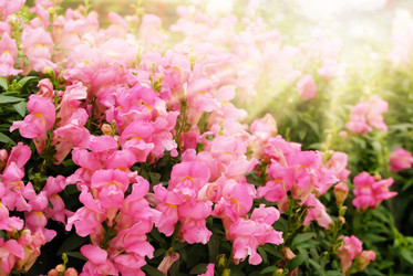 Similar image 7952684