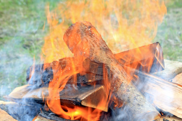 Similar image 7952729