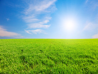 Similar image 7952834