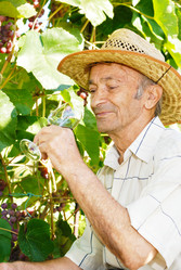 Similar image 7952838