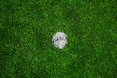 Similar image 7952847