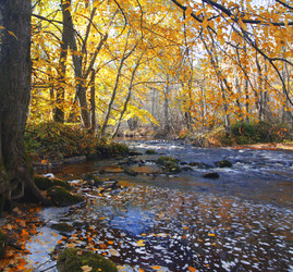 Similar image 7952850