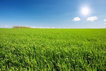 Similar image 7952877