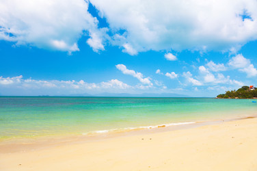 Similar image 7952880