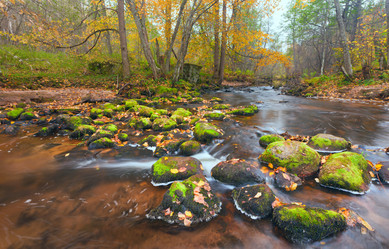 Similar image 7952887