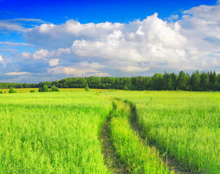 Similar image 7952960