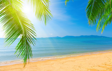 Similar image 7952986