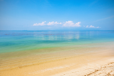 Similar image 7953079