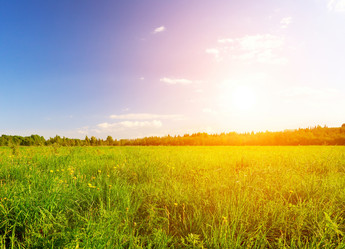 Similar image 7953122