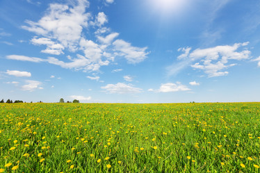 Similar image 7953174