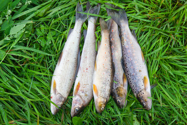 Similar image 7953193