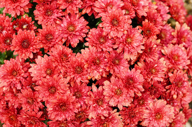 Similar image 7953285