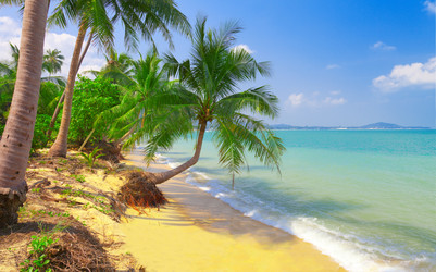 Similar image 7953316