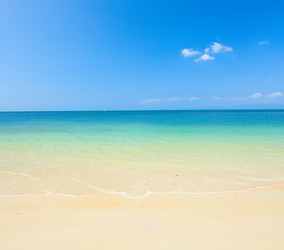 Similar image 7953340