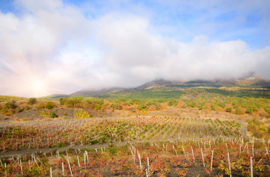 Similar image 7953373