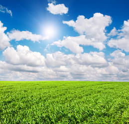 Similar image 7953389