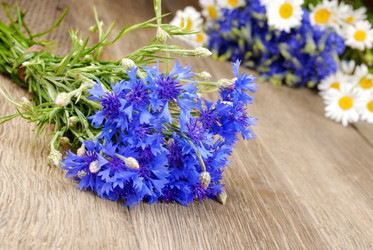 Similar image 7953604