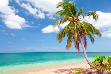 Similar image 7953798