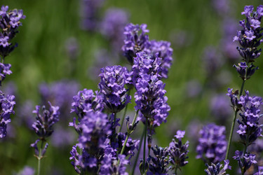 Similar image 7953828