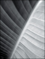 Similar image 7953832