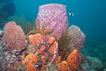 Similar image 7953843