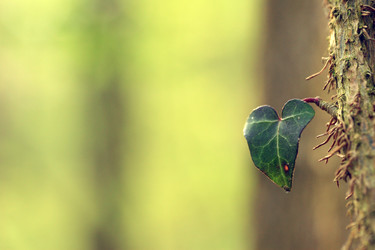 Similar image 7953847