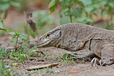 Similar image 7953853