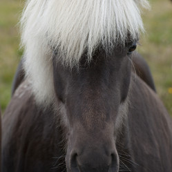 Similar image 7953855