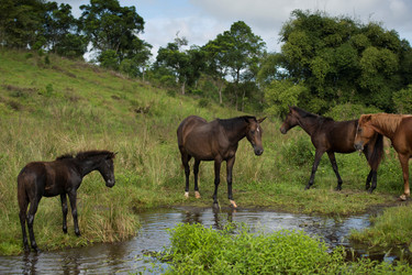 Similar image 7953858