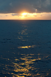 Similar image 7953859